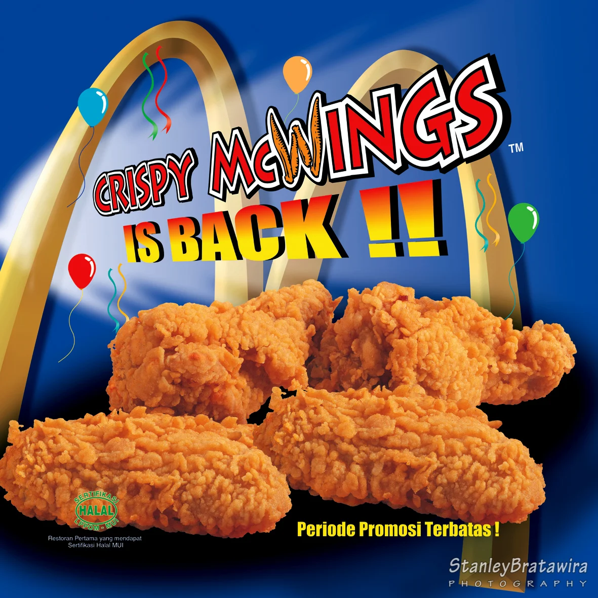 McWING 2 OK.jpg