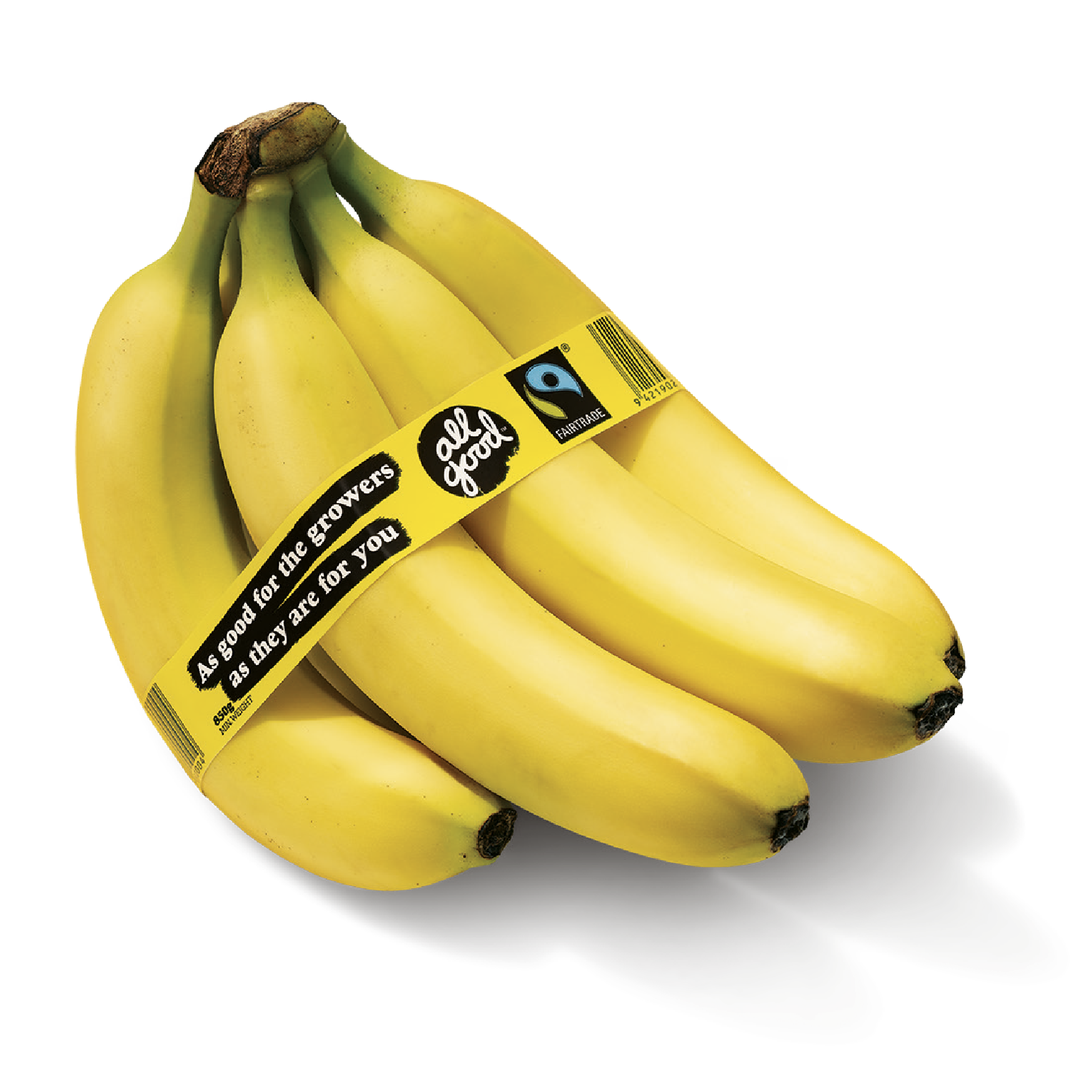 Asset 115-100 1-1.png