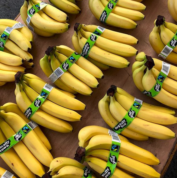 Screen Shot 2020-09-08 at 10.38.05 AM.png