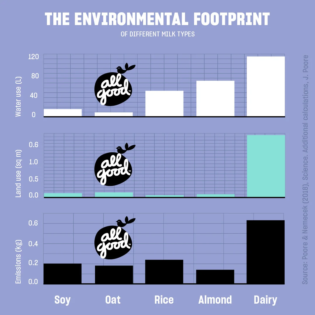 Oat Milk Packs the Plant-Power Punch