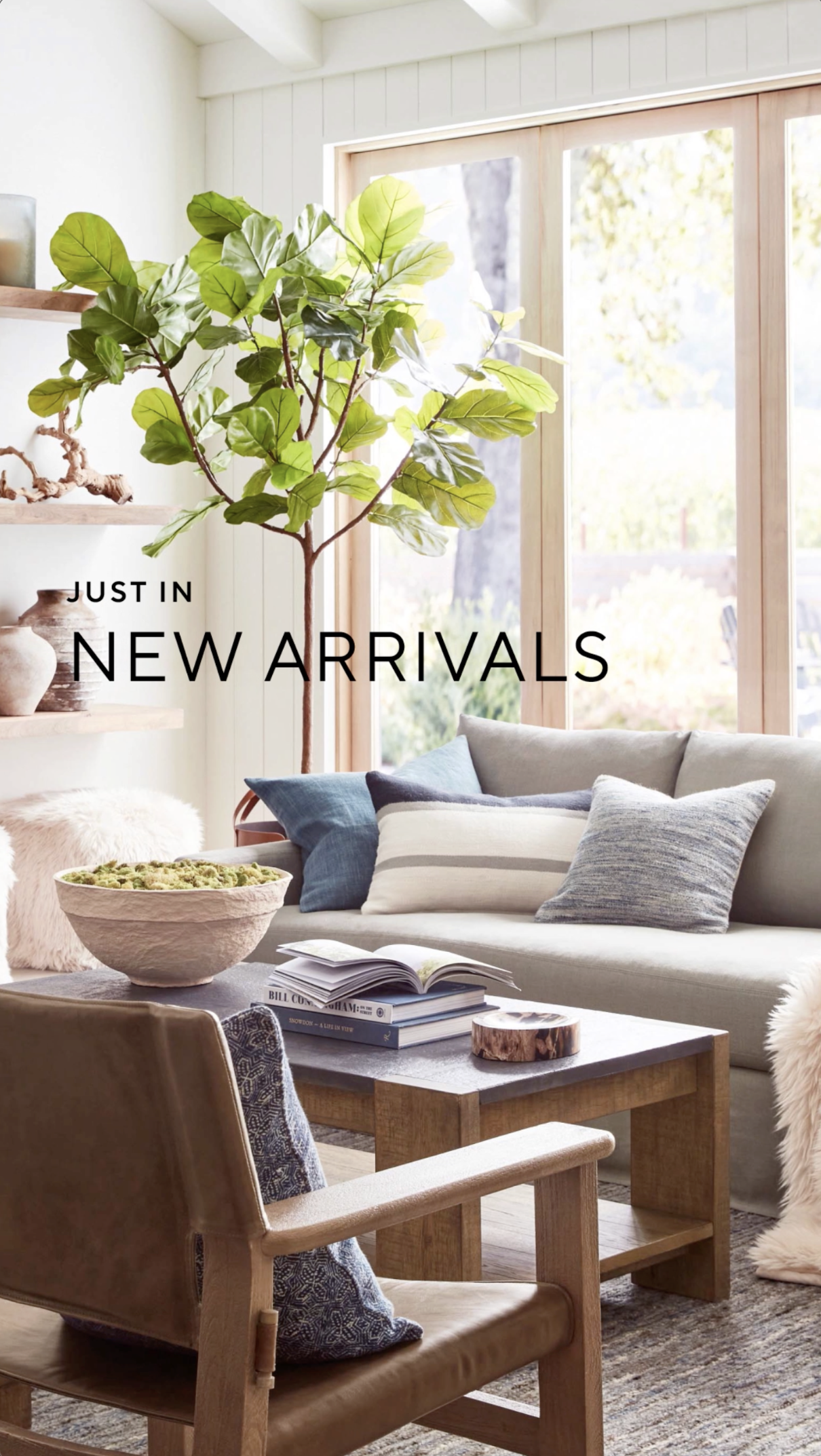 Spring New Arrivals