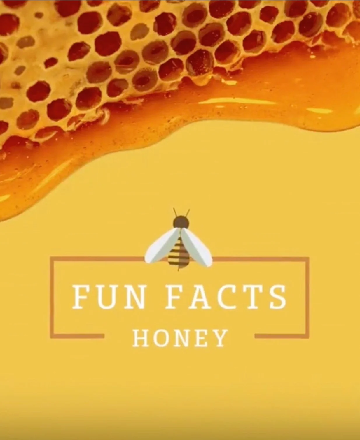 Organic In-Feed Post: Filoli Honey