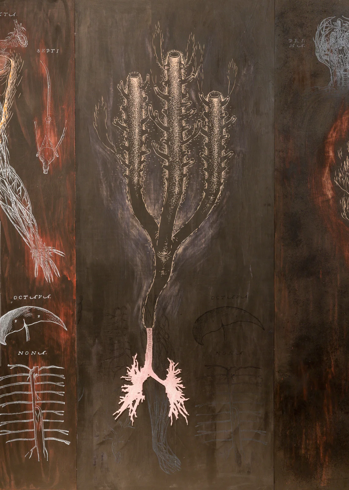 Dyscorpia_033.jpg