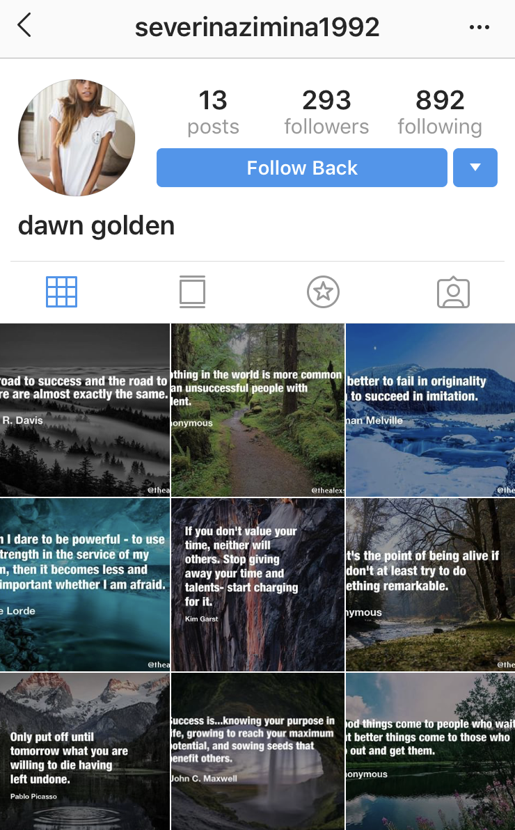 A fake account that followed my business page this week. If you scroll down there’s a topless shot hidden on the second page.