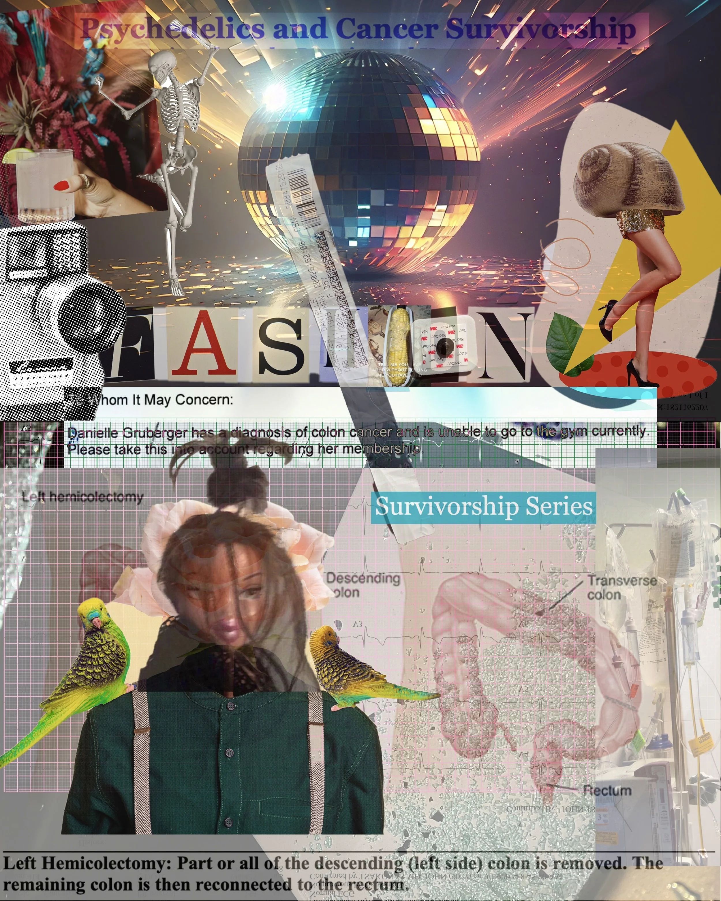 Psychedelics & Survivorship Collage by Danielle Gruberger.jpg
