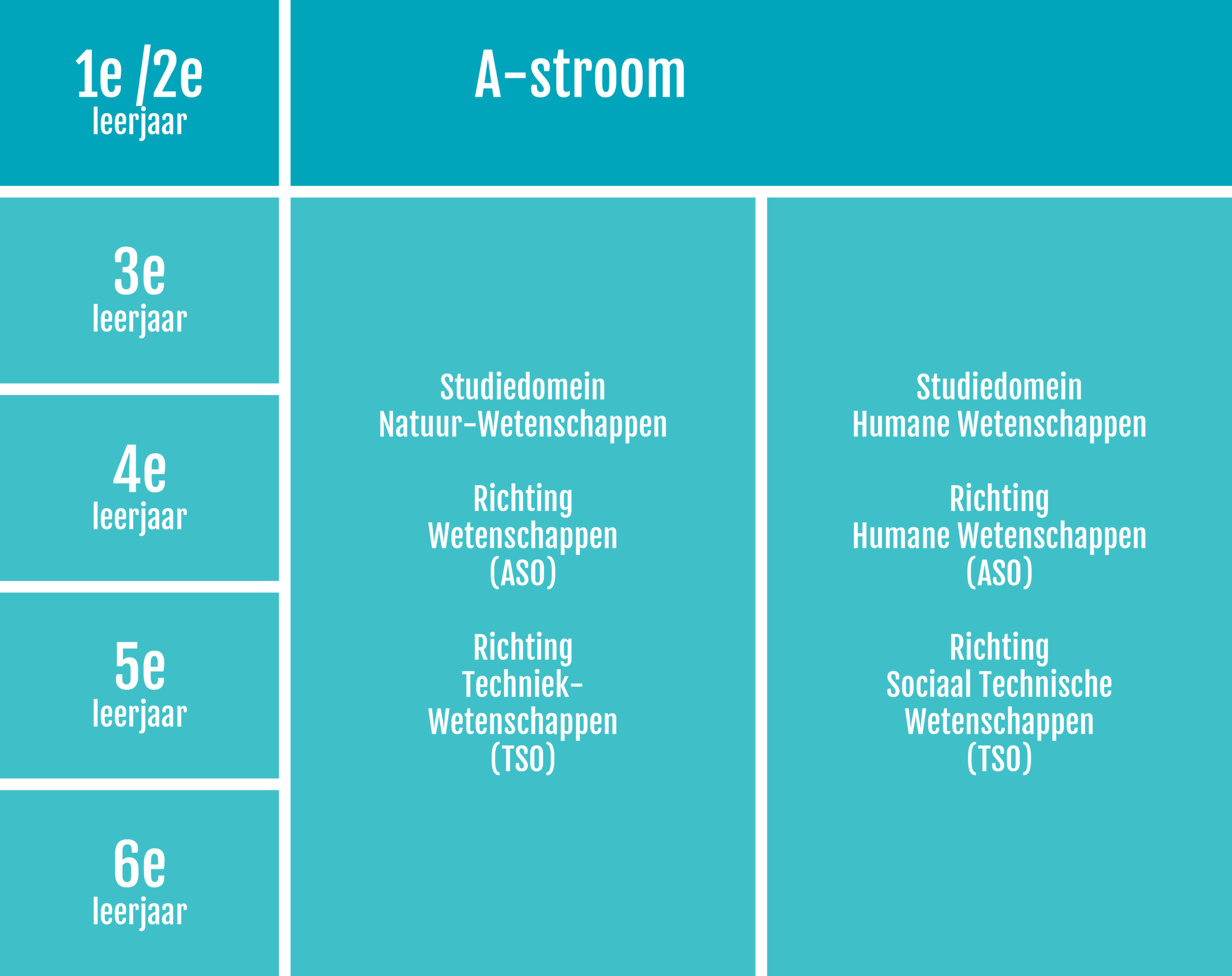 studieaanbod.png