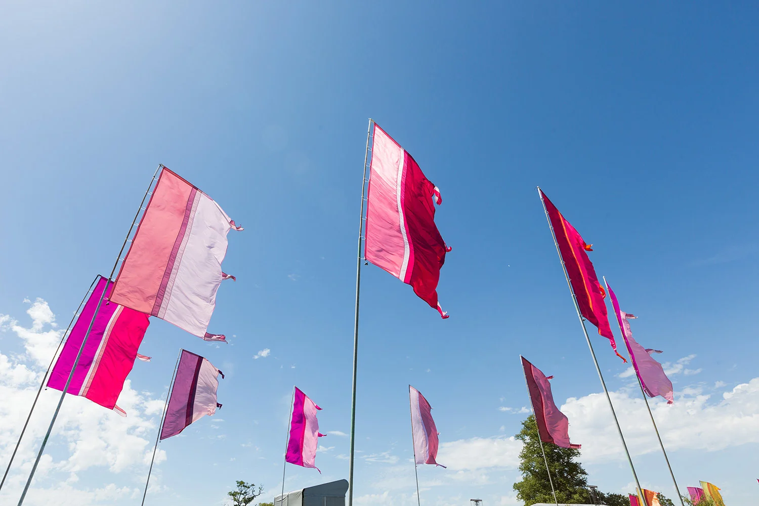Cornbury2015_bpp_014.jpg
