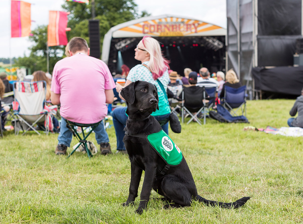 Conbury2016_bpp_023 dogs for good.jpg