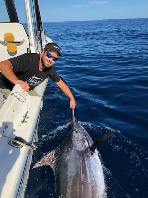 pitching baits into bait balls…how good is that!!!