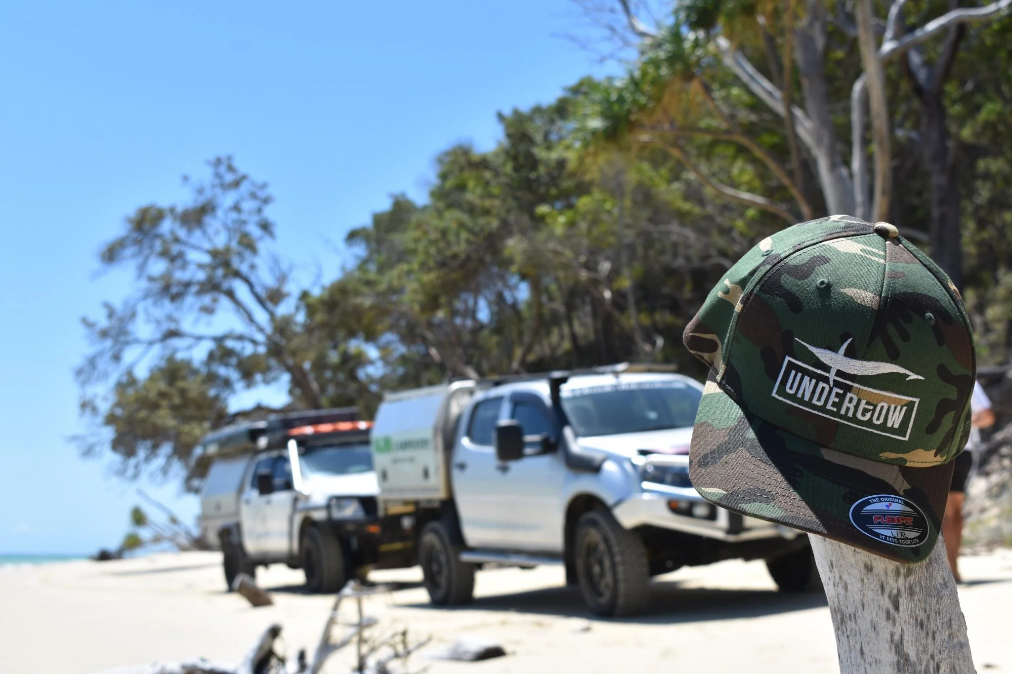 CAMO HAT ON BRANCH.jpg