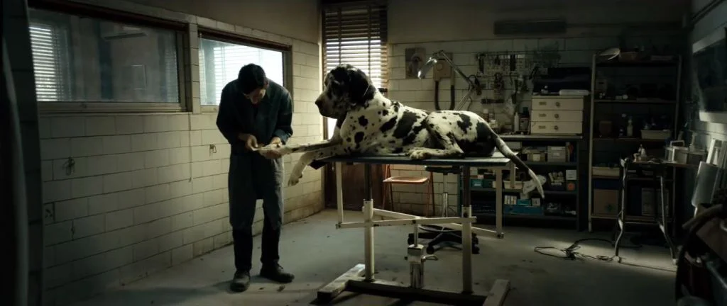 dogman-movie-four.jpg