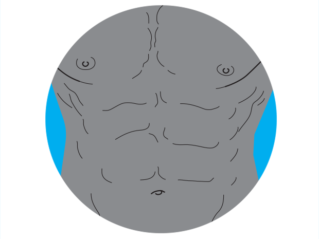 abs.gif