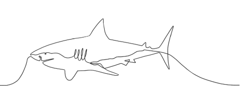 H7JpZsI5.png