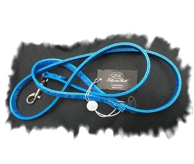 TB laisse bleu vif.JPG