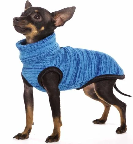 So chi bleu clair.JPG