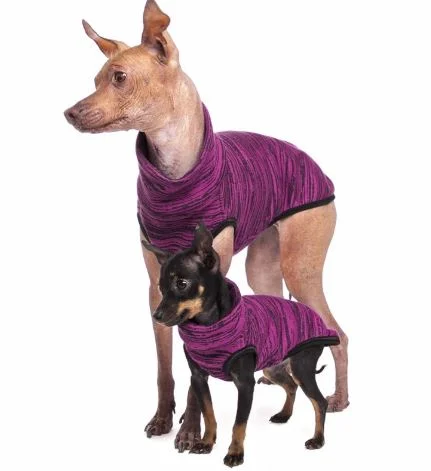 So chichi fushia.JPG