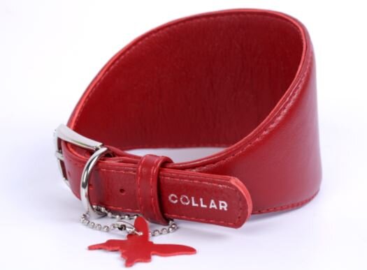coll lévrier rouge.JPG