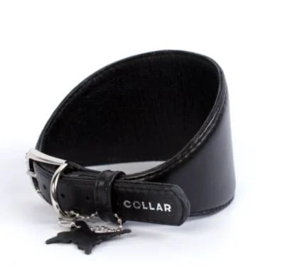 coll lévrier noir.JPG