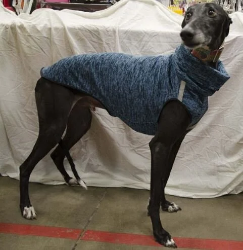 HLV pull turquoise.JPG