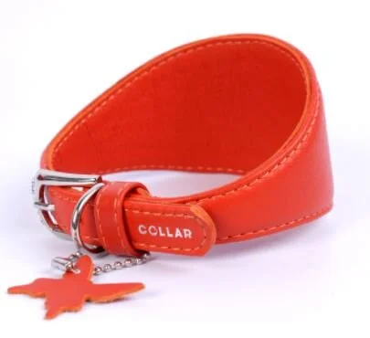 collar orange.JPG