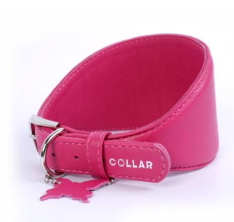 collar rose.JPG