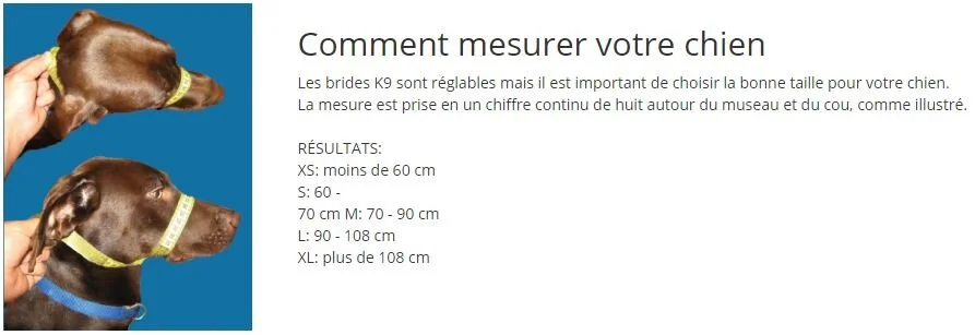 K9 mesure.JPG