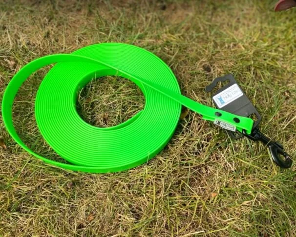 longe bio vert.JPG