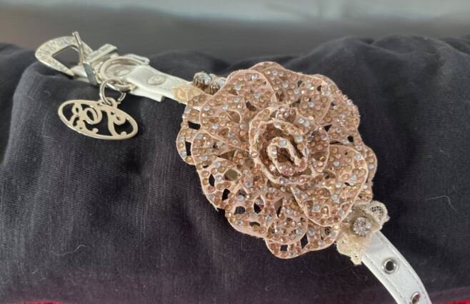 Trilly tutti Brilli     T. 20cm