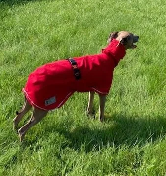 HL imper rouge.JPG