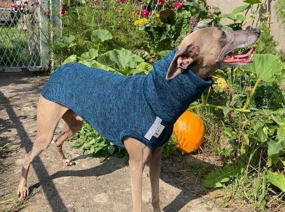 Pull doux pétrole du XXS au M