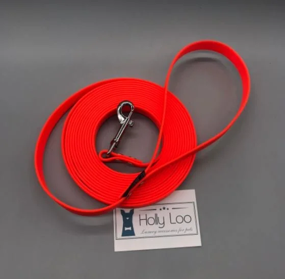 HL longe orange.JPG
