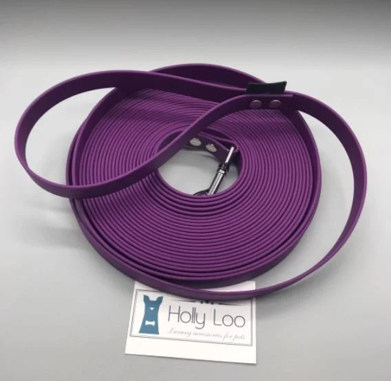HL longe mauve.JPG