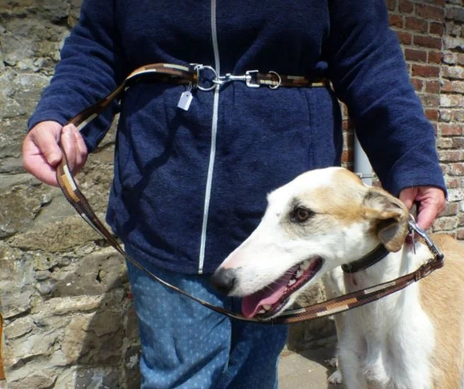 HL laisse main libre 1.JPG