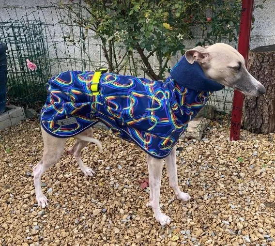 Imper Cupidon du XXS au M