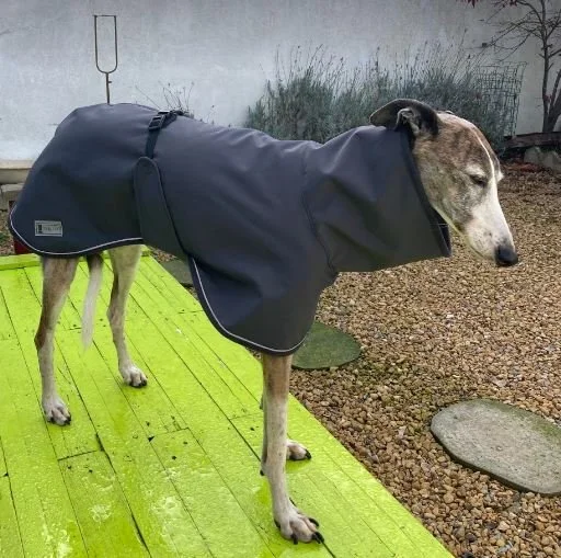 Imper gris foncé du XXS au M