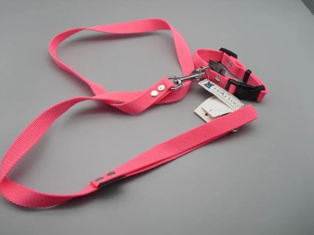 Collier et/ou laisse