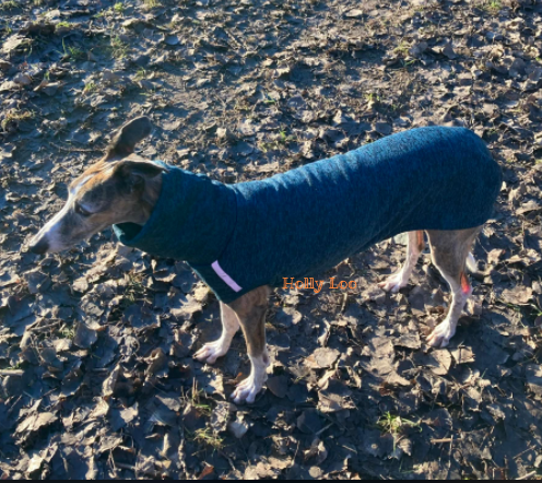 Pull Tricot Doux Bleu du L au 4XL
