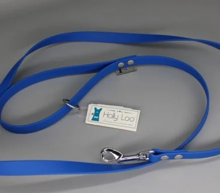 Laisse   largeur 1.5cm