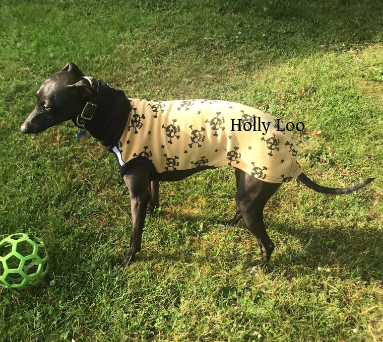 HLP-30 7.png
