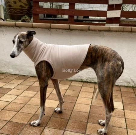 T-shirt chaud