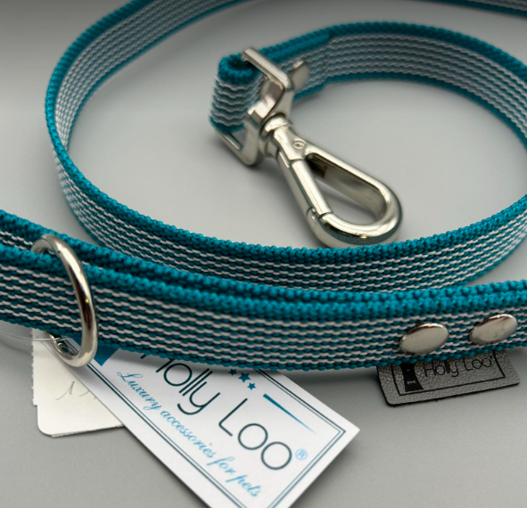 Laisse antidérapante