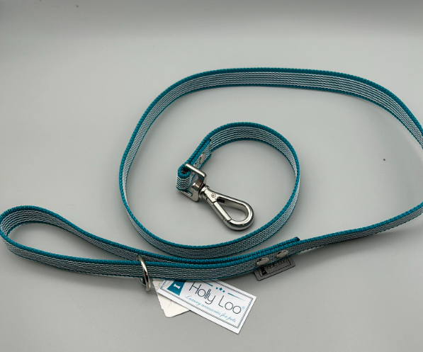 laisse caoutchouc turqouise1.png