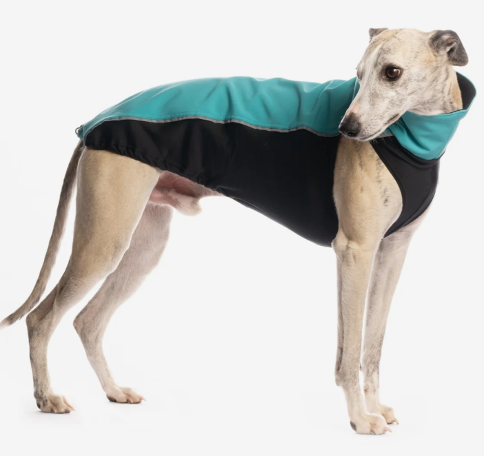 -20%  Top softshell  L1