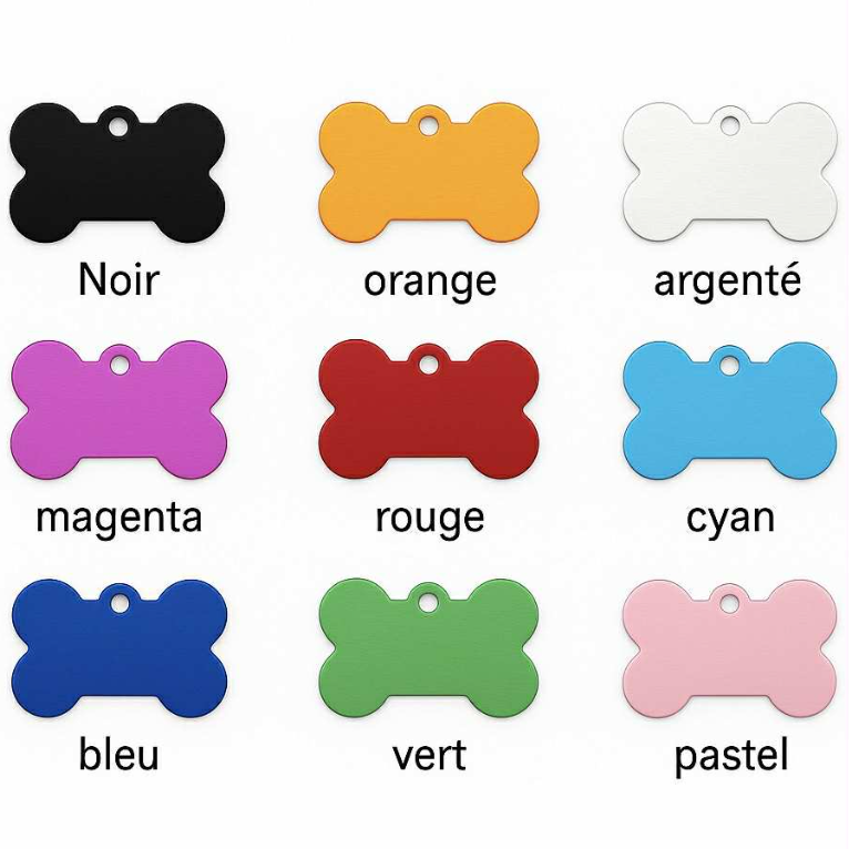 médailles color.png