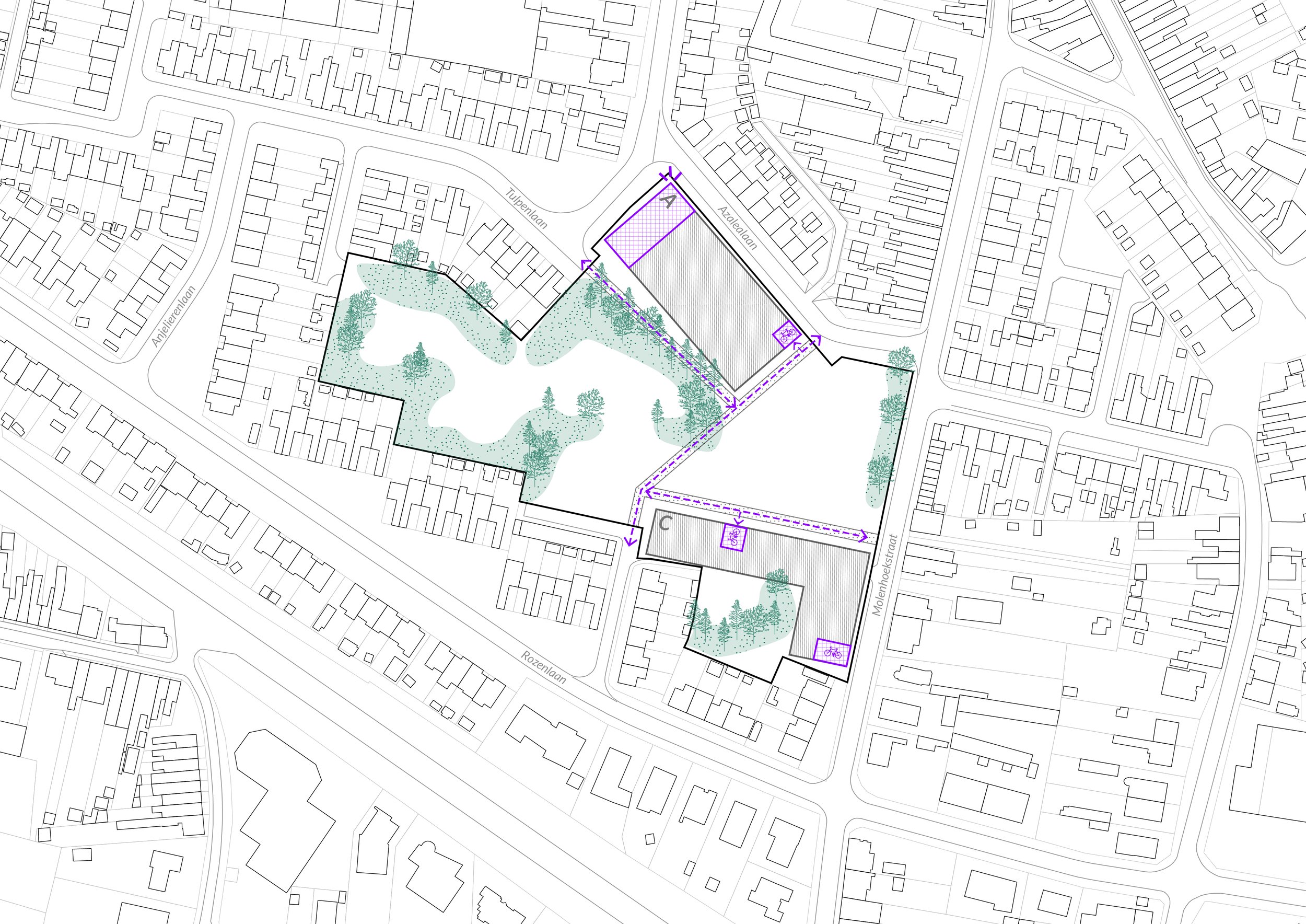 2_250924_ambitie 7.jpg