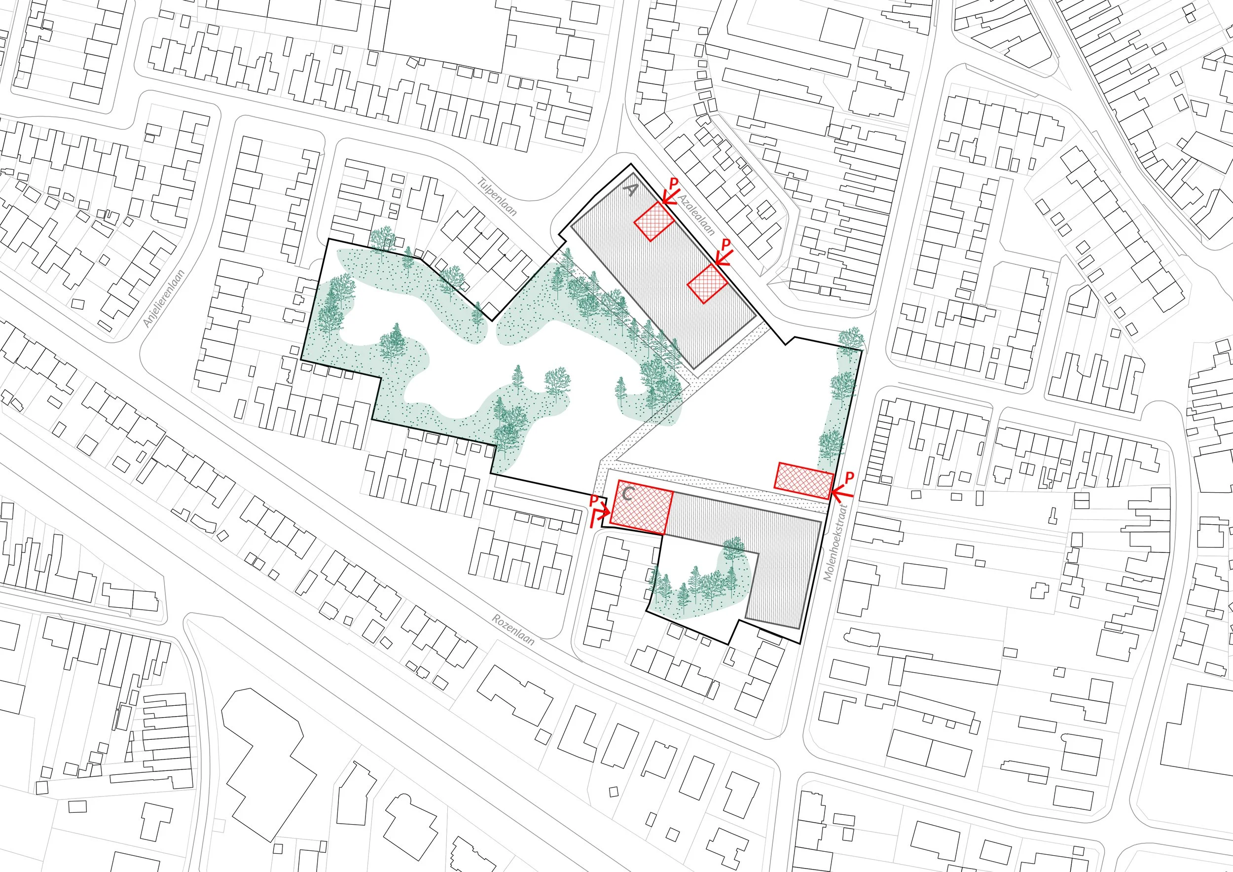 2_250924_ambitie 8.jpg