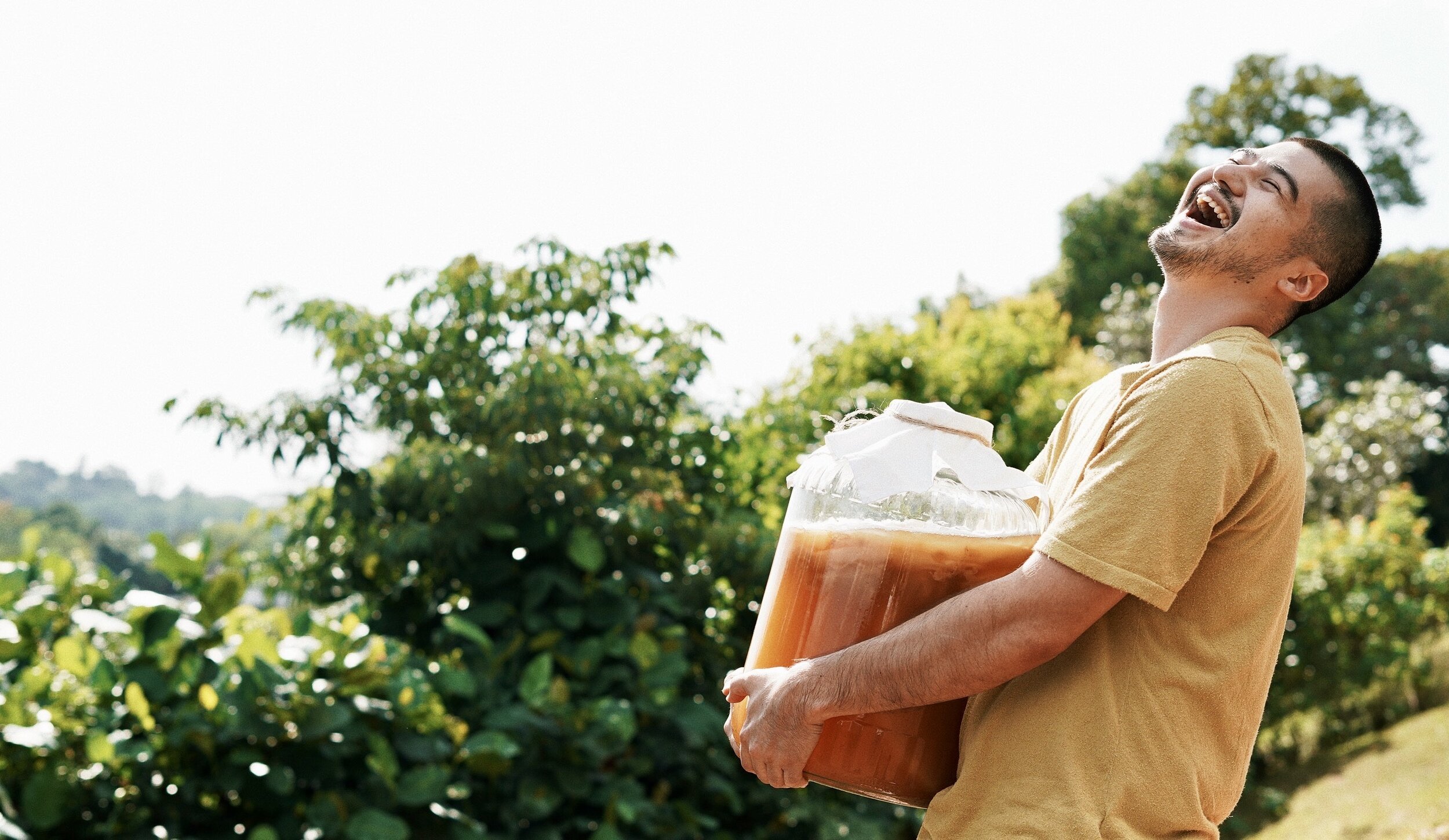 CHACHA Kombucha Malaysia  Super Fermented Tea