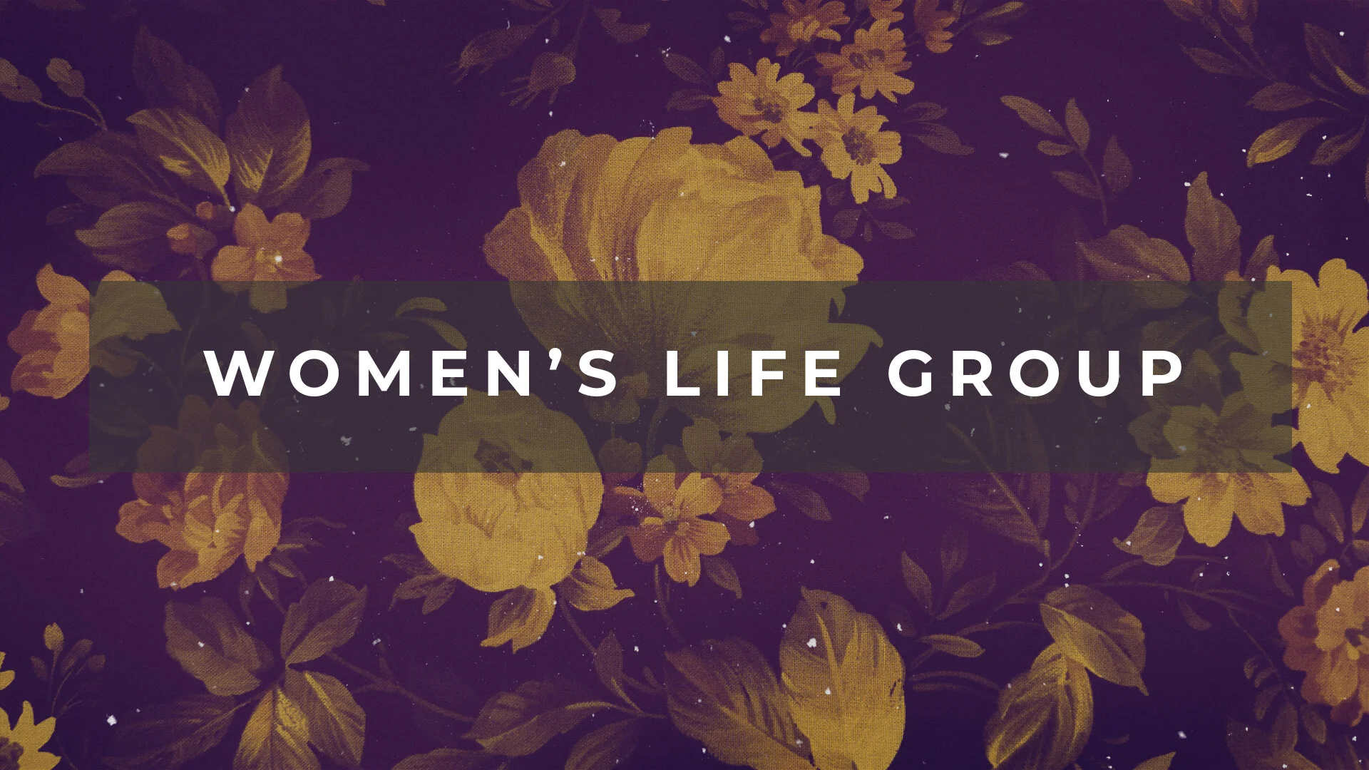 Women's life group.jpg
