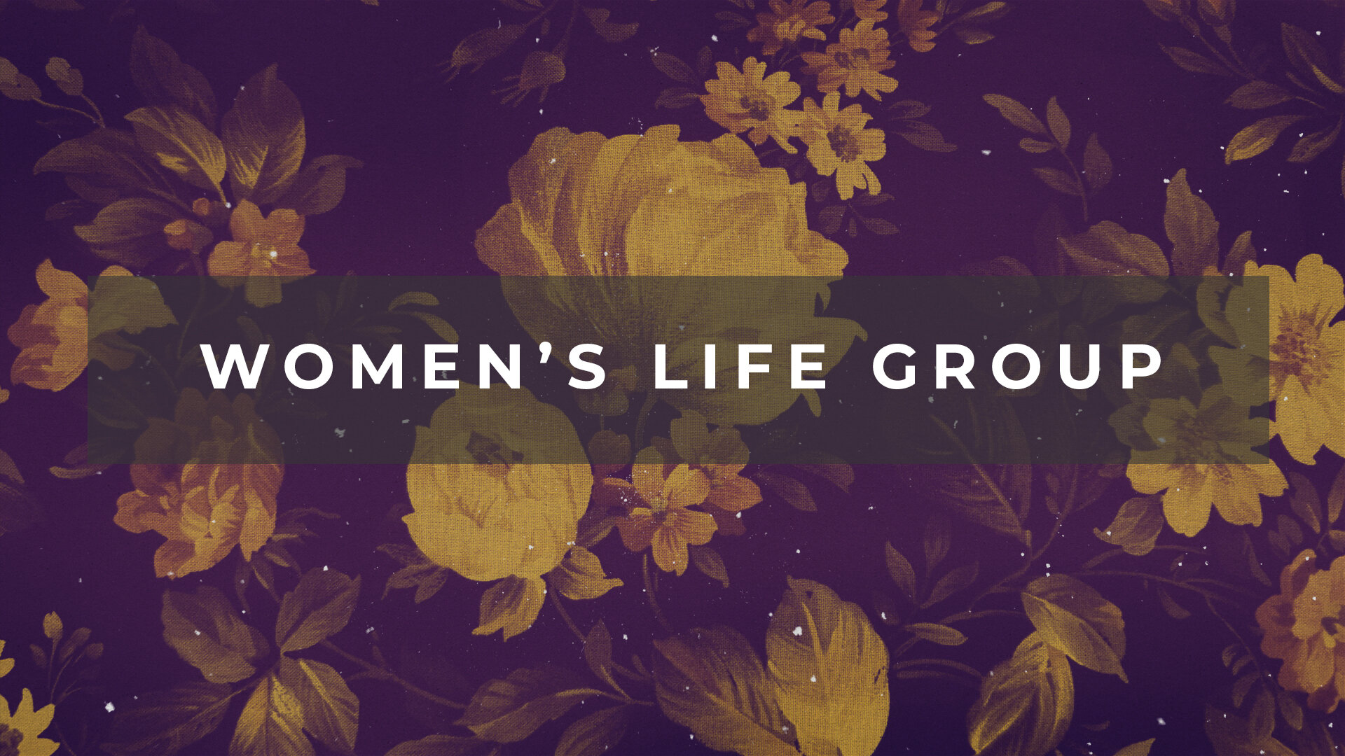 Connect - Women's Life Group