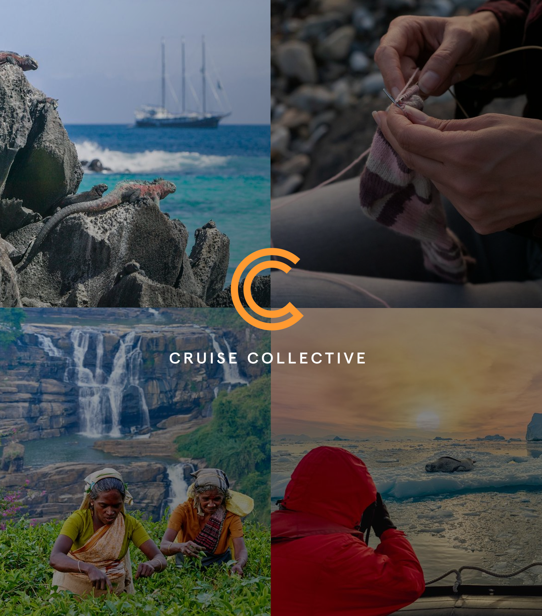 cruise collective-VARIATION (1).PNG